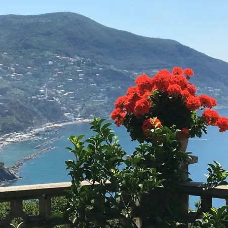 Sussurri Di Mare *