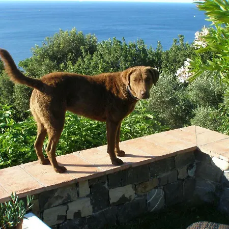 Sussurri Di Mare *
